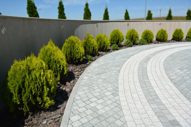 Reasons to Select Us for Your Driveway Paving Requirements in Hutto, TX